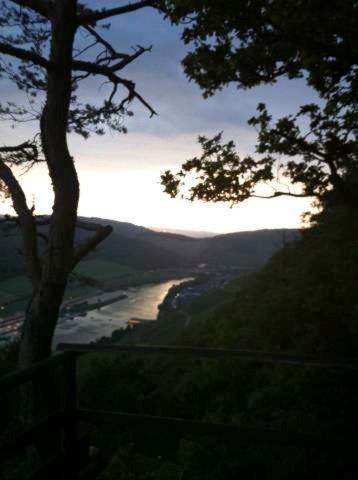 Weinstube Pension Moselbluemchen Zeltingen-Rachtig Exteriér fotografie
