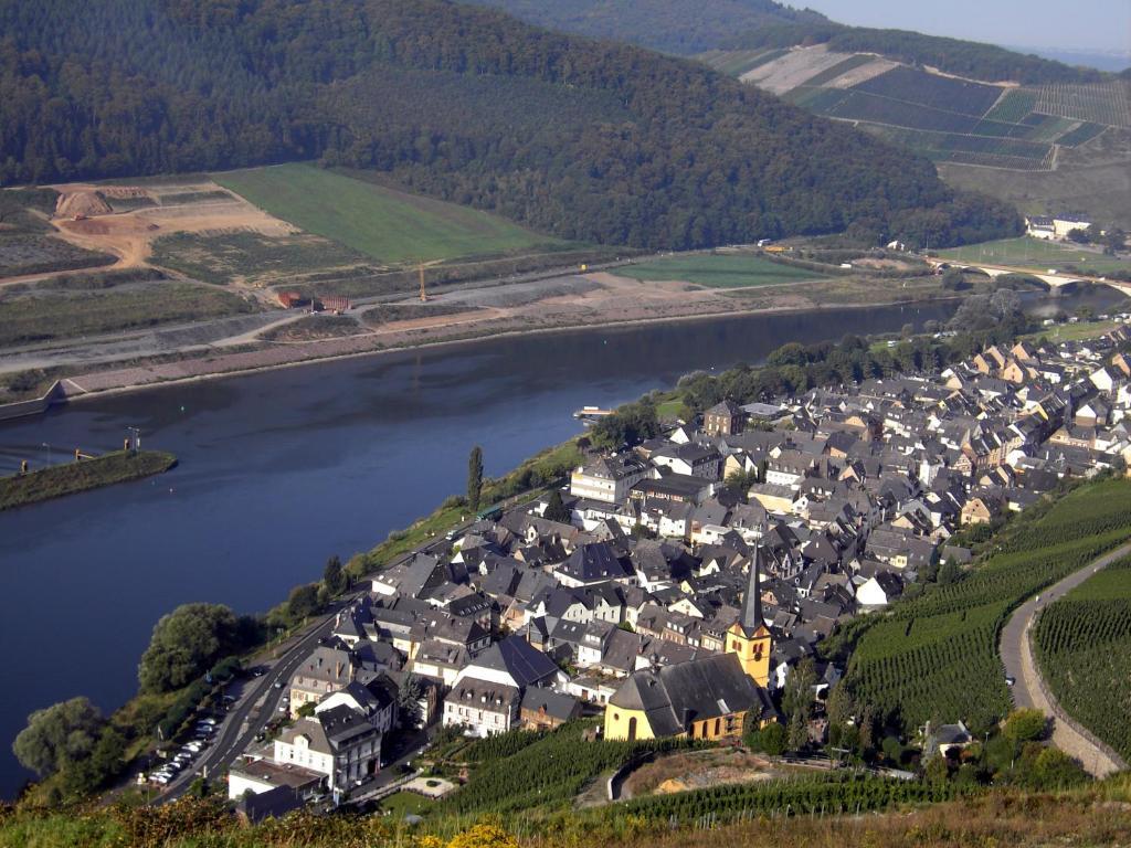 Weinstube Pension Moselbluemchen Zeltingen-Rachtig Exteriér fotografie