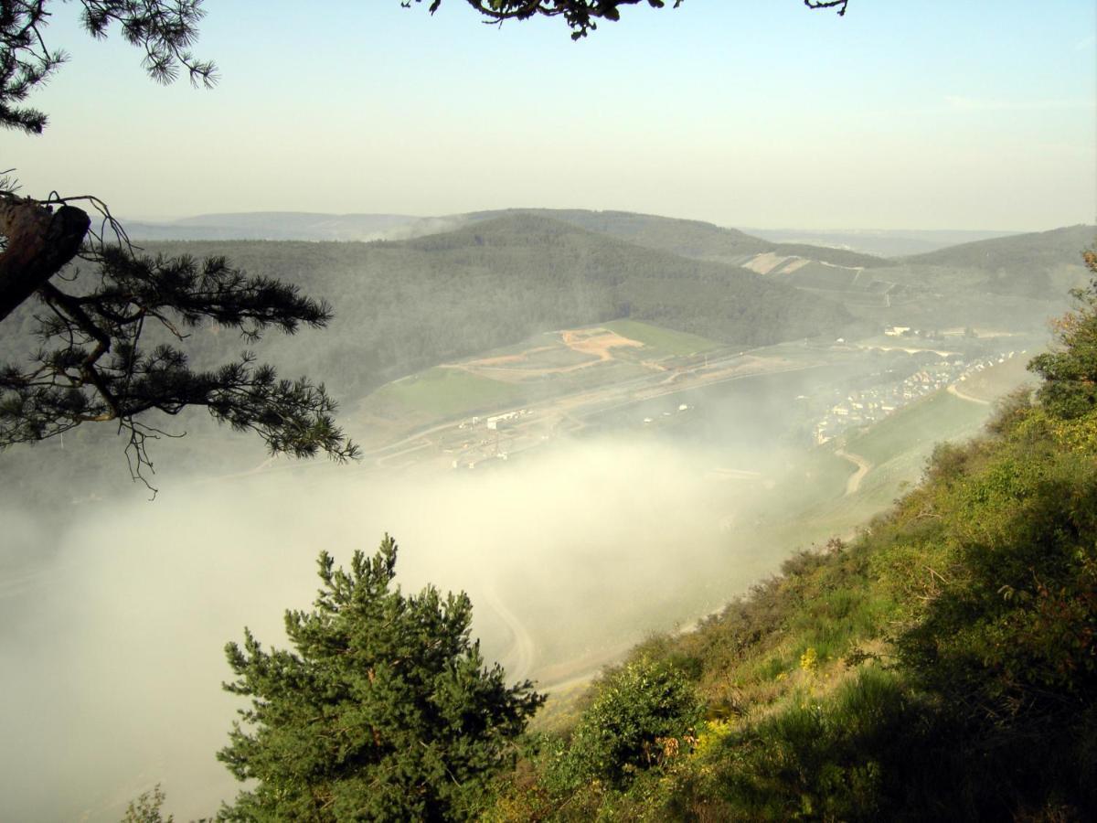 Weinstube Pension Moselbluemchen Zeltingen-Rachtig Exteriér fotografie